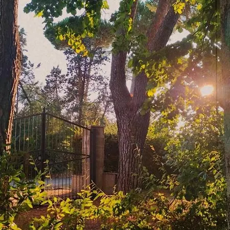 La Torre Delle Comete -villa Lungo La Via Francigena Villa Sutri